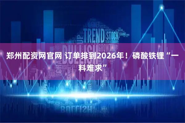 郑州配资网官网 订单排到2026年！磷酸铁锂“一料难求”