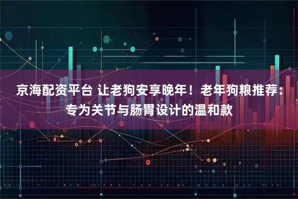 京海配资平台 让老狗安享晚年！老年狗粮推荐：专为关节与肠胃设计的温和款