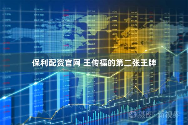 保利配资官网 王传福的第二张王牌